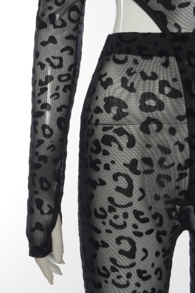 Textured Sheer Leopard Print Bodysuit Set