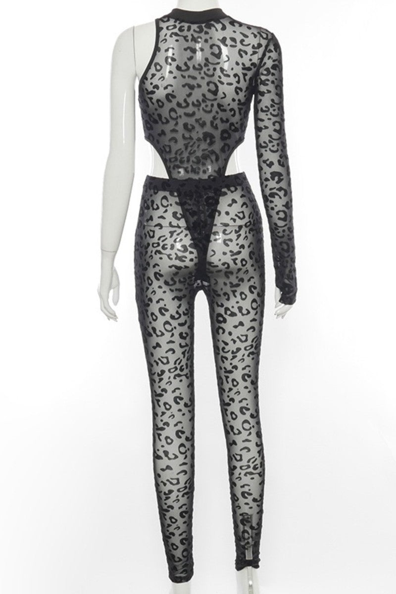 Textured Sheer Leopard Print Bodysuit Set