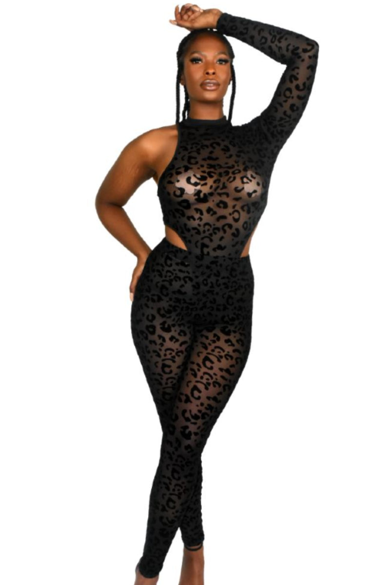 Textured Sheer Leopard Print Bodysuit Set