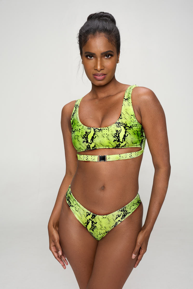 Green Snake Print Two Piece Bikini Set