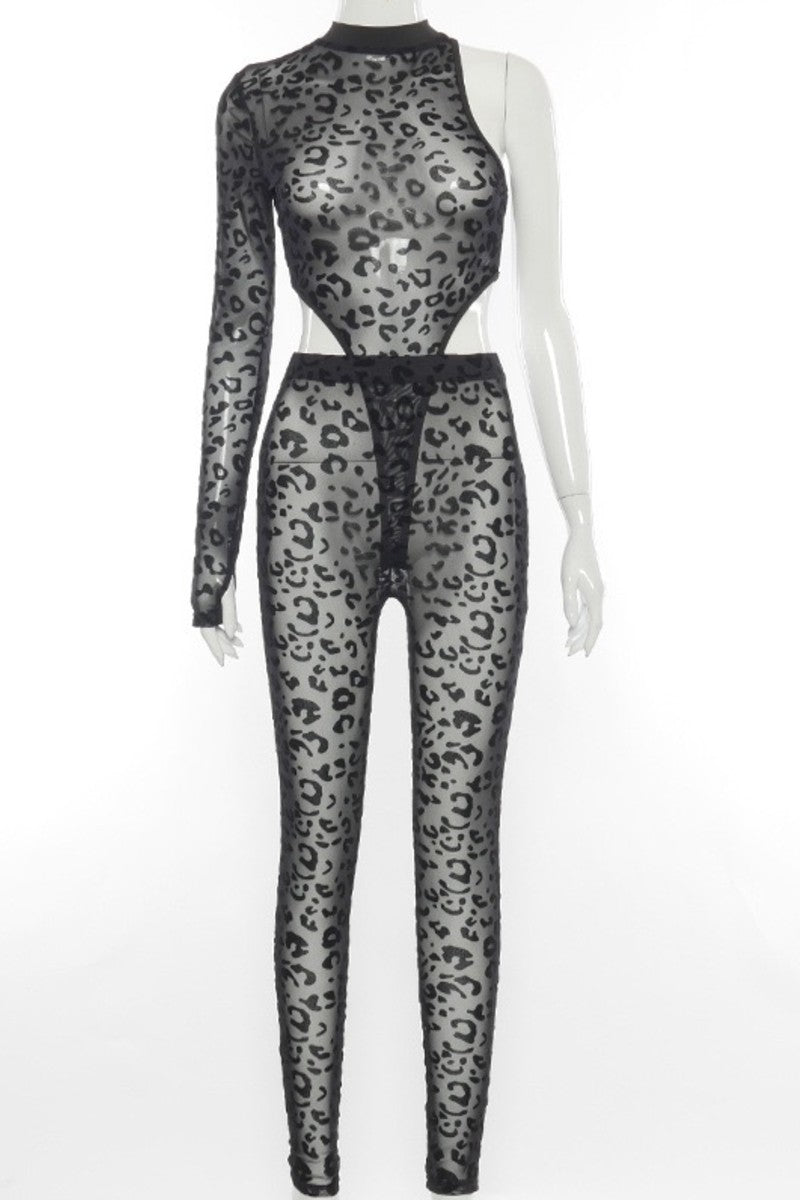 Textured Sheer Leopard Print Bodysuit Set