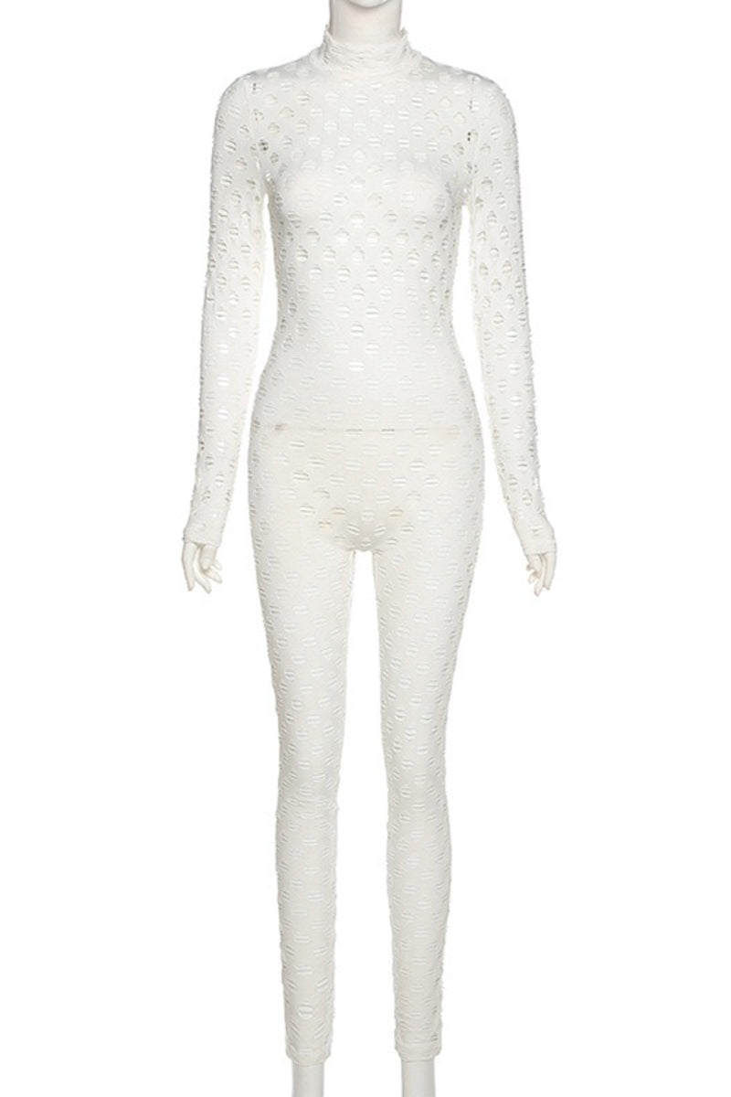 Load image into Gallery viewer, Fishnet Bodycon Jumpsuit
